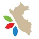 Mención Honrosa