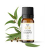 Aceite Esencial EUCALIPTO