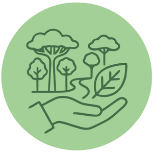 Conservación