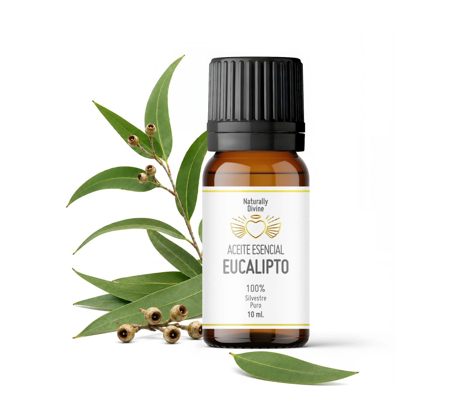 Aceite Esencial EUCALIPTO - Gallery 1