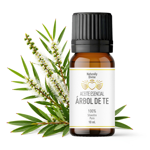 Aceite Esencial ARBOL DE TE