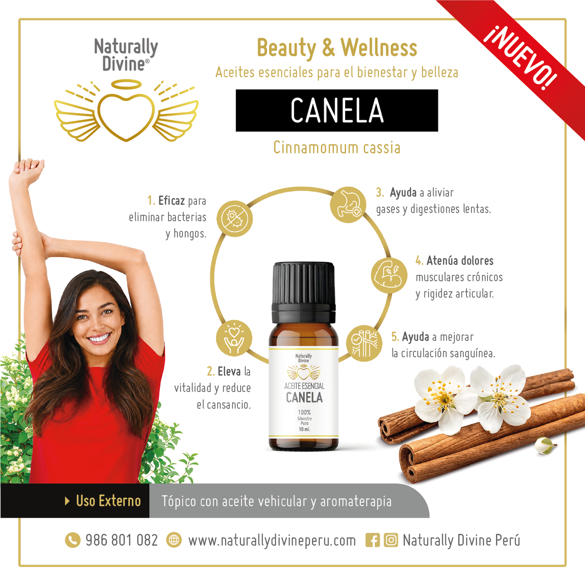 Infografía Aceite Esencial CANELA