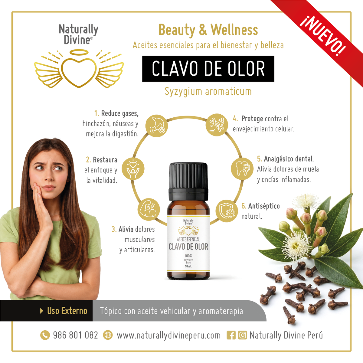 Infografía Aceite Esencial CLAVO DE OLOR