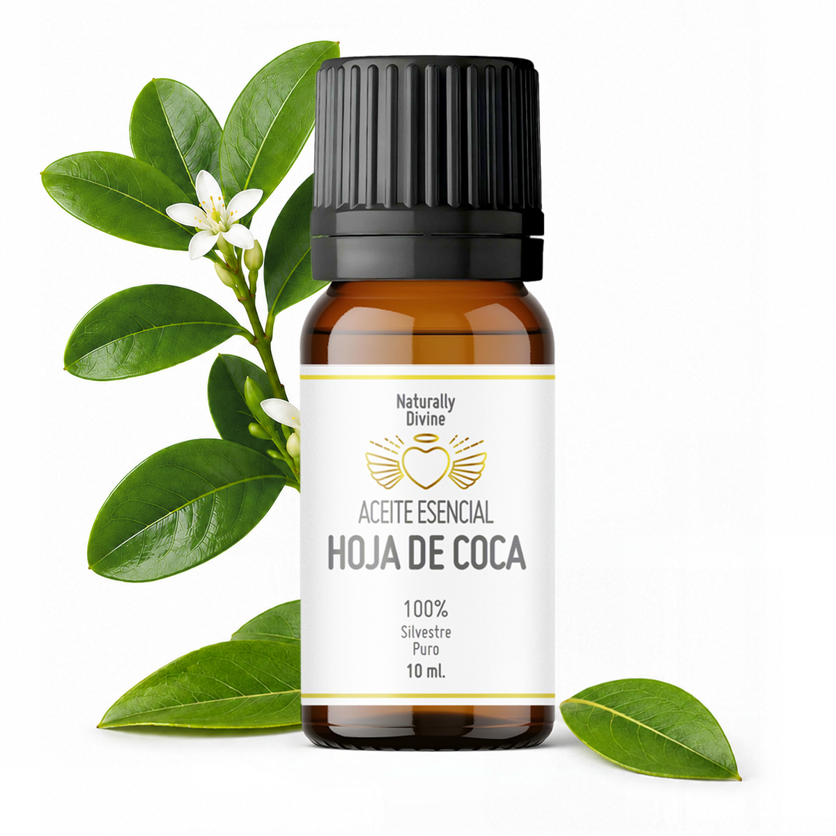 Aceite Esencial HOJA de COCA - Gallery 1
