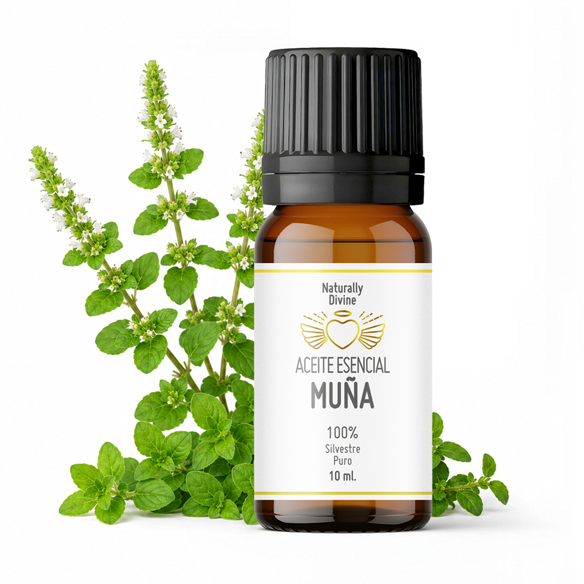 Aceite Esencial MUÑA - Gallery 1