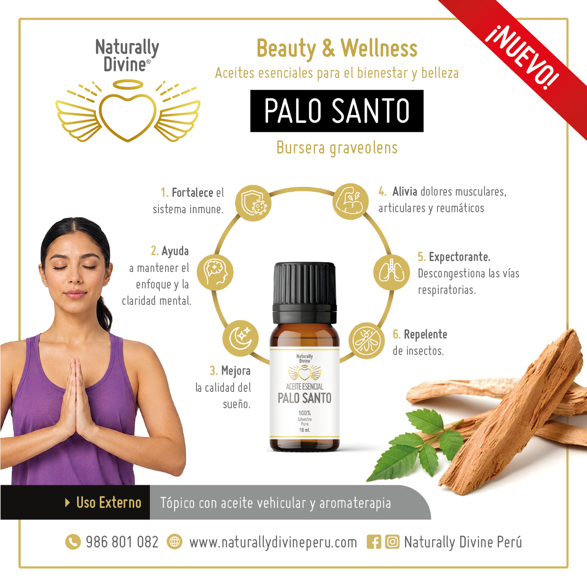 Infografía Aceite Esencial PALO SANTO