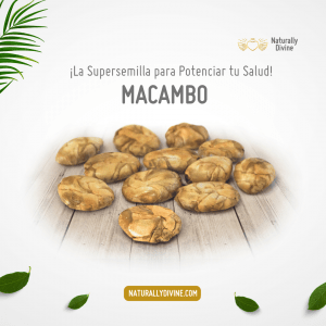 Macambo Majambo